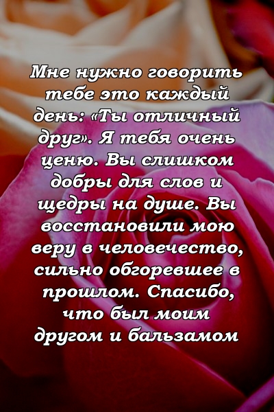 Мне нужно говорить тебе это каждый день: «Ты отличный друг». Я тебя очень ценю. Вы слишком добры для слов и щедры на душе. Вы восстановили мою веру в человечество, сильно обгоревшее в прошлом. Спасибо, что был моим другом и бальзамом