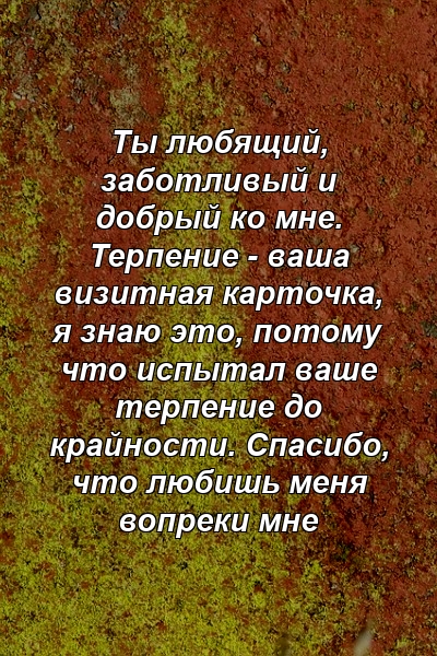 Ты любящий, заботливый и добрый ко мне. Терпение - ваша визитная карточка, я знаю это, потому что испытал ваше терпение до крайности. Спасибо, что любишь меня вопреки мне