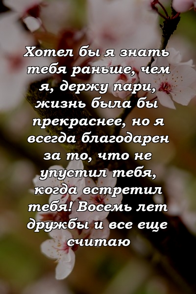 Хотел бы я знать тебя раньше, чем я, держу пари, жизнь была бы прекраснее, но я всегда благодарен за то, что не упустил тебя, когда встретил тебя! Восемь лет дружбы и все еще считаю