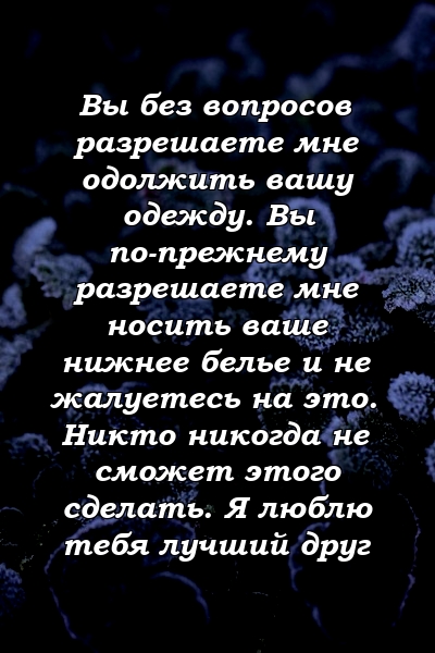 Вы без вопросов разрешаете мне одолжить вашу одежду. Вы по-прежнему разрешаете мне носить ваше нижнее белье и не жалуетесь на это. Никто никогда не сможет этого сделать. Я люблю тебя лучший друг