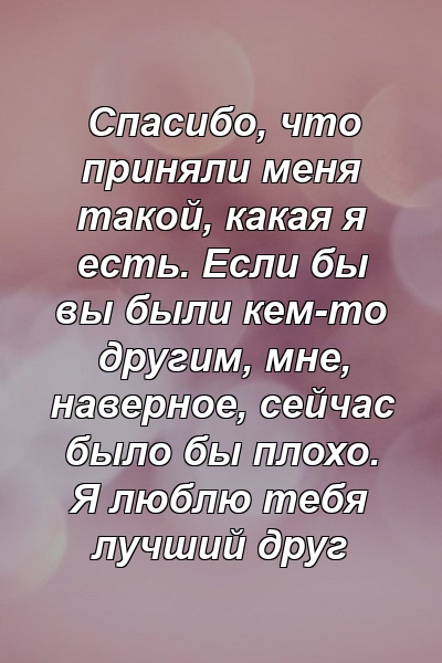 Спасибо, что приняли меня такой, какая я есть. Если бы вы были кем-то другим, мне, наверное, сейчас было бы плохо. Я люблю тебя лучший друг