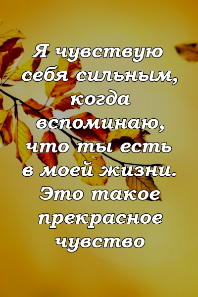 Я чувствую себя сильным, когда вспоминаю, что ты есть в моей жизни. Это такое прекрасное чувство