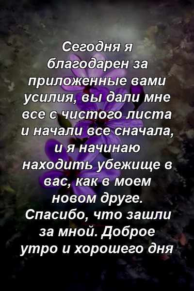 Сегодня я благодарен за приложенные вами усилия, вы дали мне все с чистого листа и начали все сначала, и я начинаю находить убежище в вас, как в моем новом друге. Спасибо, что зашли за мной. Доброе утро и хорошего дня