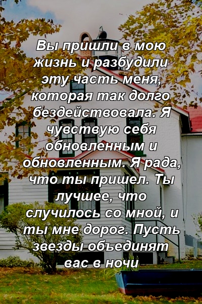 Вы пришли в мою жизнь и разбудили эту часть меня, которая так долго бездействовала. Я чувствую себя обновленным и обновленным. Я рада, что ты пришел. Ты лучшее, что случилось со мной, и ты мне дорог. Пусть звезды объединят вас в ночи