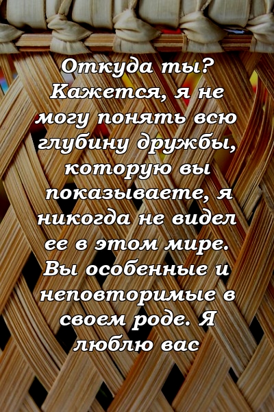 Откуда ты? Кажется, я не могу понять всю глубину дружбы, которую вы показываете, я никогда не видел ее в этом мире. Вы особенные и неповторимые в своем роде. Я люблю вас