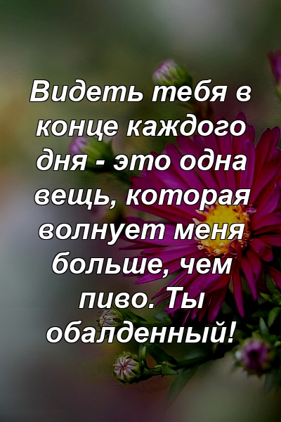 Видеть тебя в конце каждого дня - это одна вещь, которая волнует меня больше, чем пиво. Ты обалденный!