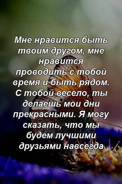 Мне нравится быть твоим другом, мне нравится проводить с тобой время и быть рядом. С тобой весело, ты делаешь мои дни прекрасными. Я могу сказать, что мы будем лучшими друзьями навсегда