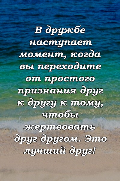 В дружбе наступает момент, когда вы переходите от простого признания друг к другу к тому, чтобы жертвовать друг другом. Это лучший друг!