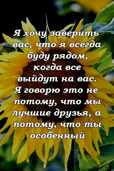 Я хочу заверить вас, что я всегда буду рядом, когда все выйдут на вас. Я говорю это не потому, что мы лучшие друзья, а потому, что ты особенный