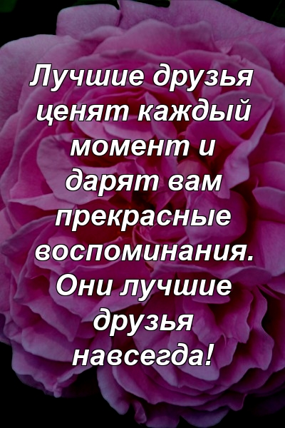 Лучшие друзья ценят каждый момент и дарят вам прекрасные воспоминания. Они лучшие друзья навсегда!