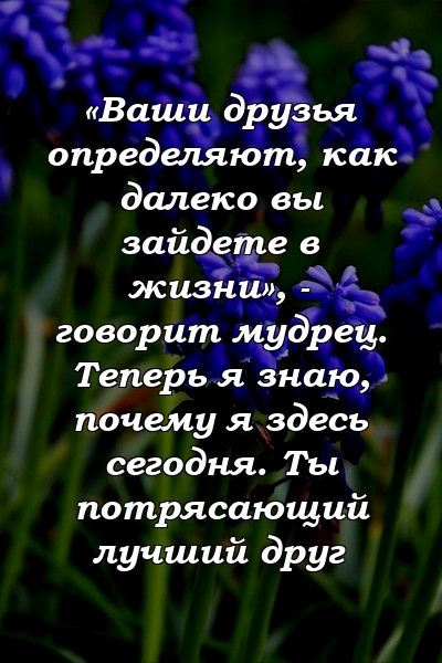 «Ваши друзья определяют, как далеко вы зайдете в жизни», - говорит мудрец. Теперь я знаю, почему я здесь сегодня. Ты потрясающий лучший друг