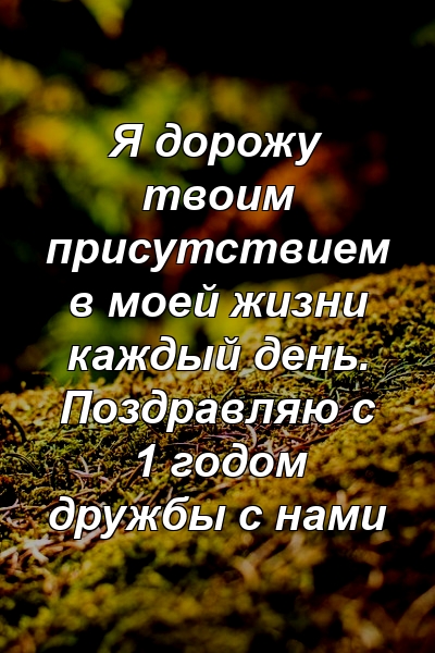 Я дорожу твоим присутствием в моей жизни каждый день. Поздравляю с 1 годом дружбы с нами