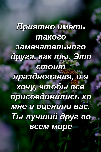 Приятно иметь такого замечательного друга, как ты. Это стоит празднования, и я хочу, чтобы все присоединились ко мне и оценили вас. Ты лучший друг во всем мире