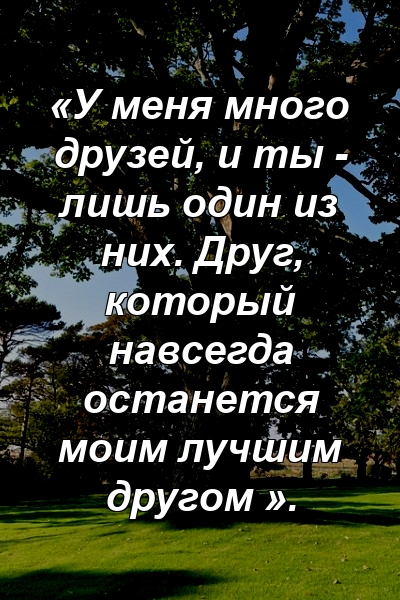 «У меня много друзей, и ты - лишь один из них. Друг, который навсегда останется моим лучшим другом ».