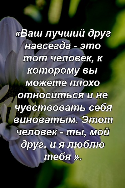 «Ваш лучший друг навсегда - это тот человек, к которому вы можете плохо относиться и не чувствовать себя виноватым. Этот человек - ты, мой друг, и я люблю тебя ».