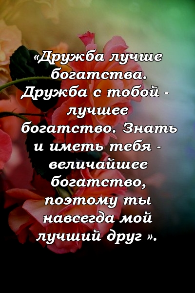 «Дружба лучше богатства. Дружба с тобой - лучшее богатство. Знать и иметь тебя - величайшее богатство, поэтому ты навсегда мой лучший друг ».