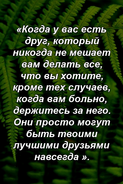 «Когда у вас есть друг, который никогда не мешает вам делать все, что вы хотите, кроме тех случаев, когда вам больно, держитесь за него. Они просто могут быть твоими лучшими друзьями навсегда ».