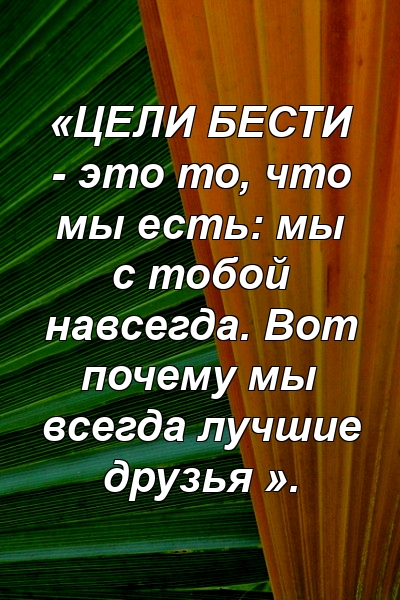 «ЦЕЛИ БЕСТИ - это то, что мы есть: мы с тобой навсегда. Вот почему мы всегда лучшие друзья ».