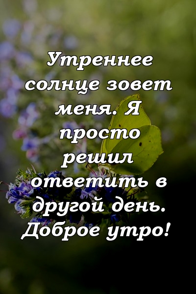 Утреннее солнце зовет меня. Я просто решил ответить в другой день. Доброе утро!