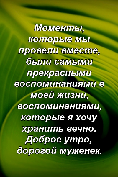 Моменты, которые мы провели вместе, были самыми прекрасными воспоминаниями в моей жизни, воспоминаниями, которые я хочу хранить вечно. Доброе утро, дорогой муженек.