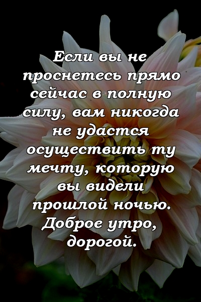 Если вы не проснетесь прямо сейчас в полную силу, вам никогда не удастся осуществить ту мечту, которую вы видели прошлой ночью. Доброе утро, дорогой.