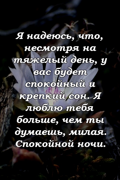 Я надеюсь, что, несмотря на тяжелый день, у вас будет спокойный и крепкий сон. Я люблю тебя больше, чем ты думаешь, милая. Спокойной ночи.