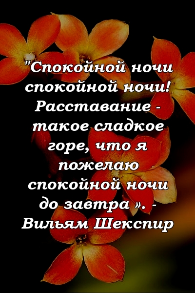 "Спокойной ночи спокойной ночи! Расставание - такое сладкое горе, что я пожелаю спокойной ночи до завтра ». - Вильям Шекспир