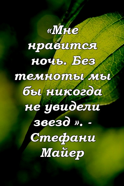 «Мне нравится ночь. Без темноты мы бы никогда не увидели звезд ». - Стефани Майер