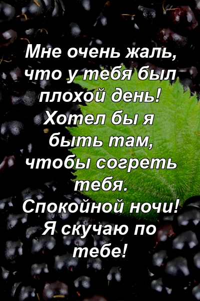 Мне очень жаль, что у тебя был плохой день! Хотел бы я быть там, чтобы согреть тебя. Спокойной ночи! Я скучаю по тебе!