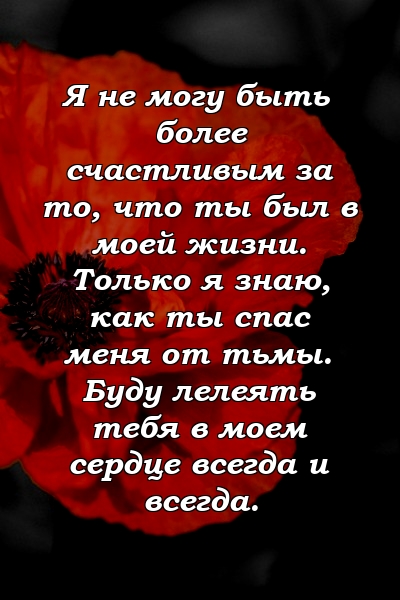 Я не могу быть более счастливым за то, что ты был в моей жизни. Только я знаю, как ты спас меня от тьмы. Буду лелеять тебя в моем сердце всегда и всегда.