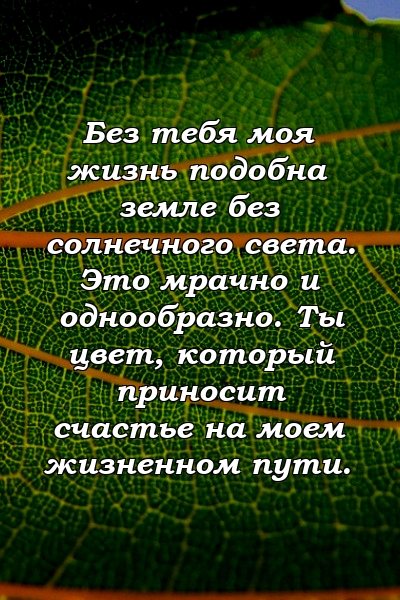 Без тебя моя жизнь подобна земле без солнечного света. Это мрачно и однообразно. Ты цвет, который приносит счастье на моем жизненном пути.