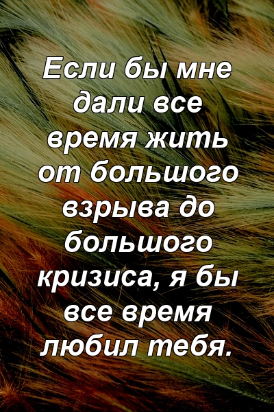 Если бы мне дали все время жить от большого взрыва до большого кризиса, я бы все время любил тебя.