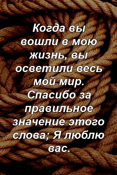 Когда вы вошли в мою жизнь, вы осветили весь мой мир. Спасибо за правильное значение этого слова; Я люблю вас.