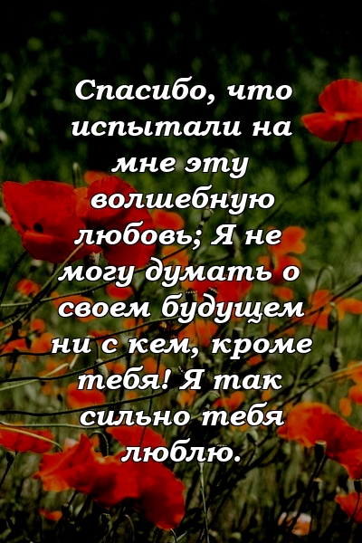 Спасибо, что испытали на мне эту волшебную любовь; Я не могу думать о своем будущем ни с кем, кроме тебя! Я так сильно тебя люблю.