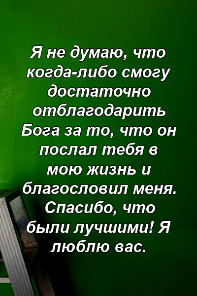 Я не думаю, что когда-либо смогу достаточно отблагодарить Бога за то, что он послал тебя в мою жизнь и благословил меня. Спасибо, что были лучшими! Я люблю вас.