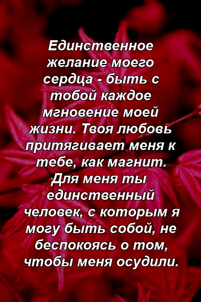 Единственное желание моего сердца - быть с тобой каждое мгновение моей жизни. Твоя любовь притягивает меня к тебе, как магнит. Для меня ты единственный человек, с которым я могу быть собой, не беспокоясь о том, чтобы меня осудили.