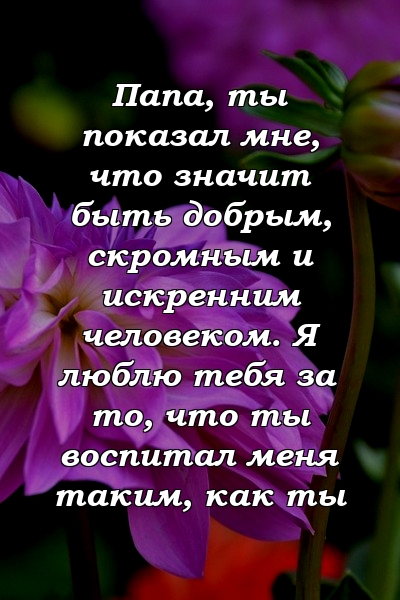 Папа, ты показал мне, что значит быть добрым, скромным и искренним человеком. Я люблю тебя за то, что ты воспитал меня таким, как ты