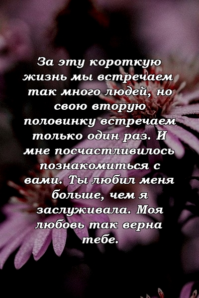 За эту короткую жизнь мы встречаем так много людей, но свою вторую половинку встречаем только один раз. И мне посчастливилось познакомиться с вами. Ты любил меня больше, чем я заслуживала. Моя любовь так верна тебе.