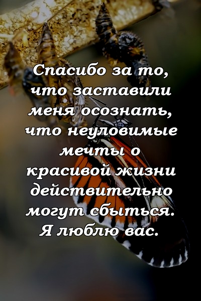 Спасибо за то, что заставили меня осознать, что неуловимые мечты о красивой жизни действительно могут сбыться. Я люблю вас.