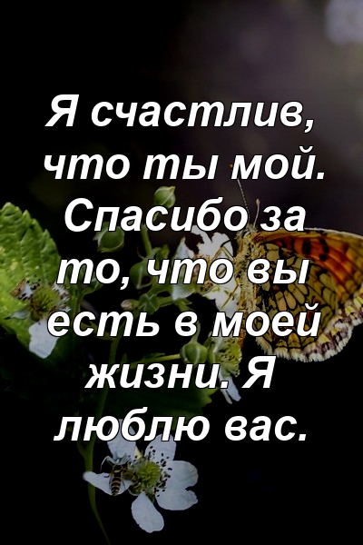 Я счастлив, что ты мой. Спасибо за то, что вы есть в моей жизни. Я люблю вас.