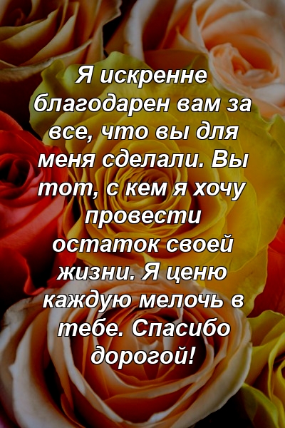 Я искренне благодарен вам за все, что вы для меня сделали. Вы тот, с кем я хочу провести остаток своей жизни. Я ценю каждую мелочь в тебе. Спасибо дорогой!