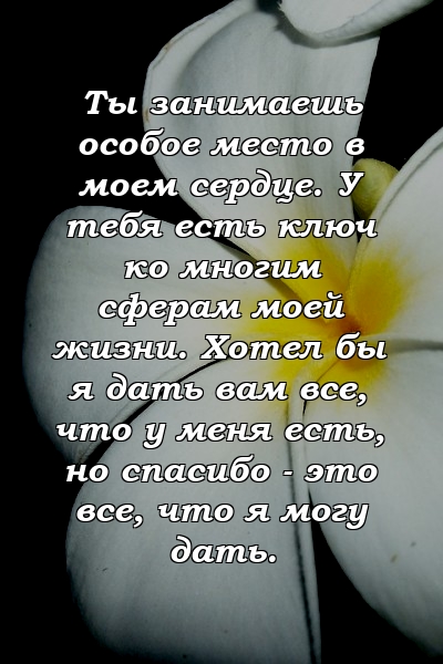 Ты занимаешь особое место в моем сердце. У тебя есть ключ ко многим сферам моей жизни. Хотел бы я дать вам все, что у меня есть, но спасибо - это все, что я могу дать.