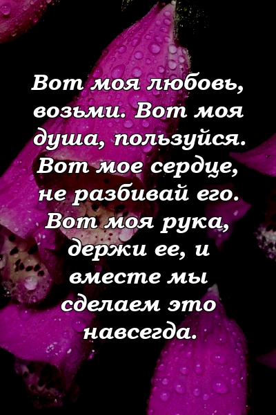 Вот моя любовь, возьми. Вот моя душа, пользуйся. Вот мое сердце, не разбивай его. Вот моя рука, держи ее, и вместе мы сделаем это навсегда.