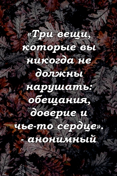 «Три вещи, которые вы никогда не должны нарушать: обещания, доверие и чье-то сердце». - анонимный