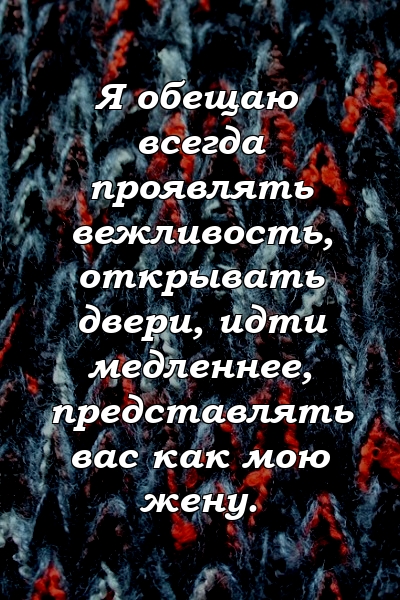 Я обещаю всегда проявлять вежливость, открывать двери, идти медленнее, представлять вас как мою жену.