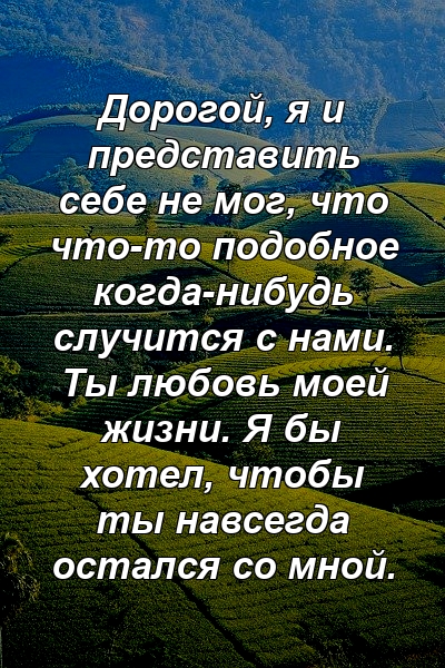 Дорогой, я и представить себе не мог, что что-то подобное когда-нибудь случится с нами. Ты любовь моей жизни. Я бы хотел, чтобы ты навсегда остался со мной.