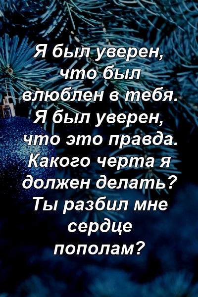 Я был уверен, что был влюблен в тебя. Я был уверен, что это правда. Какого черта я должен делать? Ты разбил мне сердце пополам?