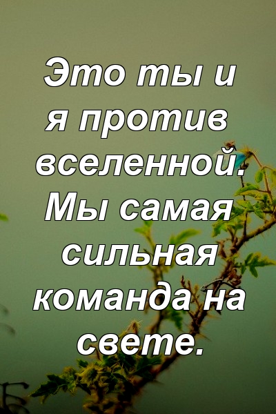 Это ты и я против вселенной. Мы самая сильная команда на свете.