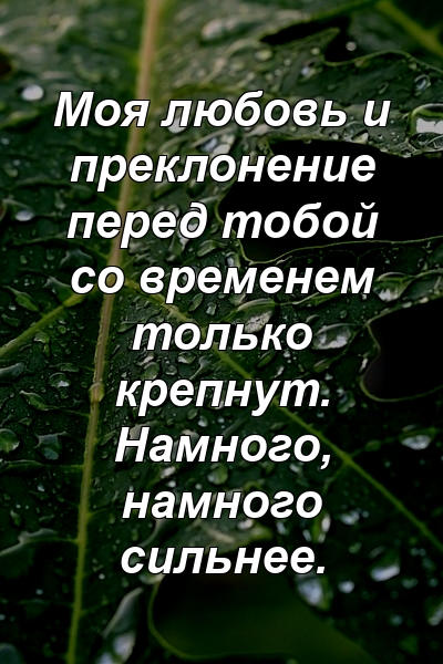 Моя любовь и преклонение перед тобой со временем только крепнут. Намного, намного сильнее.