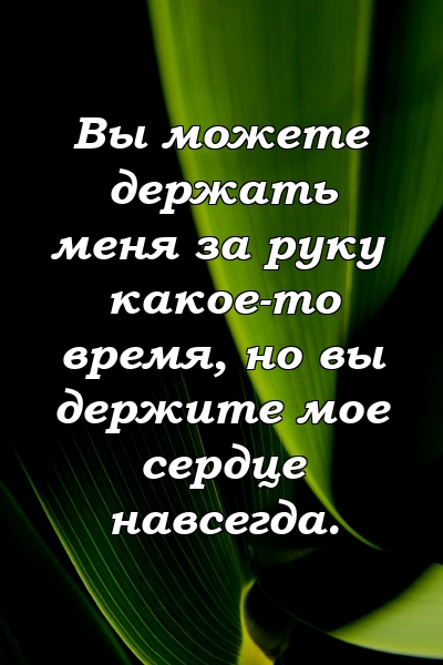 Вы можете держать меня за руку какое-то время, но вы держите мое сердце навсегда.